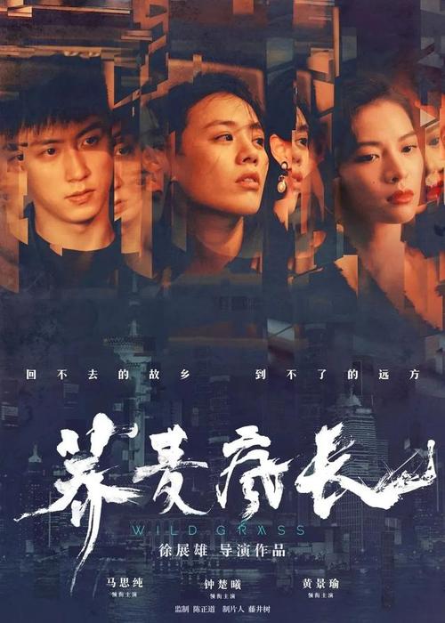 买个假的斯特林大学文凭毕业证